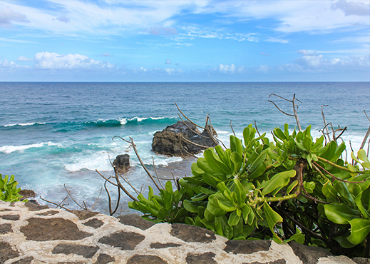 gris gris ile maurice